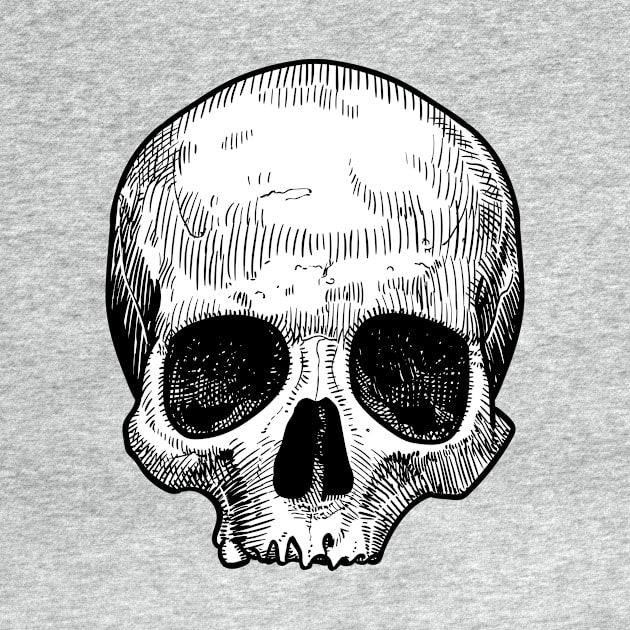 Drawing of a skull by StefanAlfonso